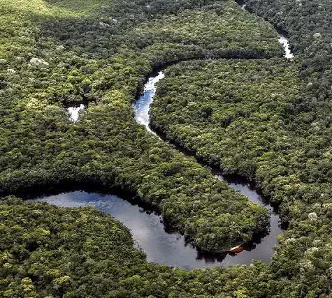 Rio sinuoso. Floresta tropical.